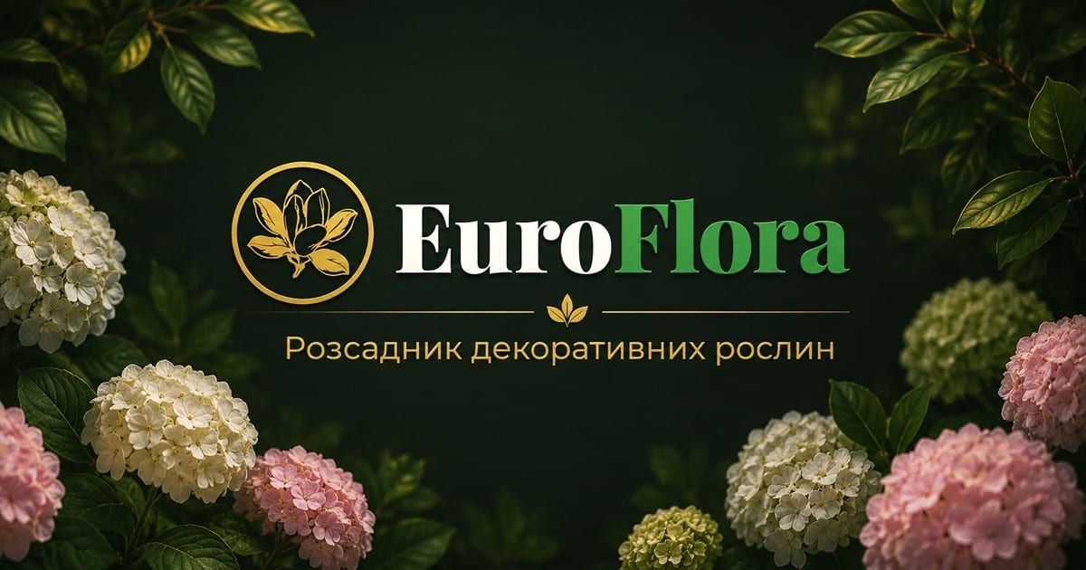 Саджанці гортензій — купити в Україні | EuroFlora